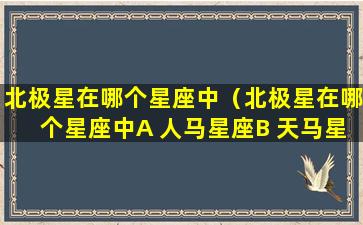 北极星在哪个星座中（北极星在哪个星座中A 人马星座B 天马星座C 小熊星座）